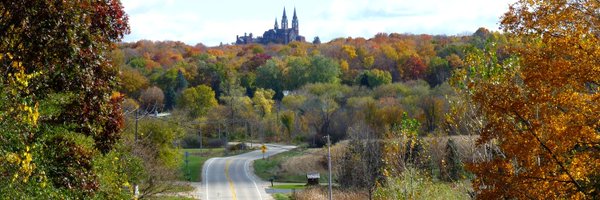 bgrhubarb Profile Banner