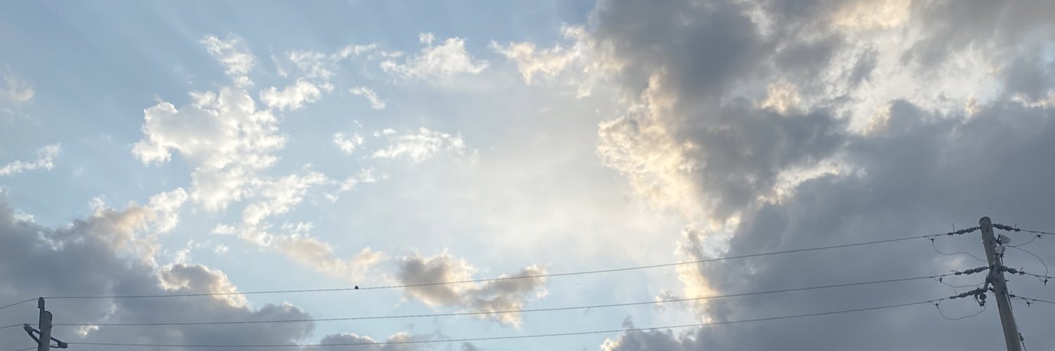 Shluke Wolfington banner