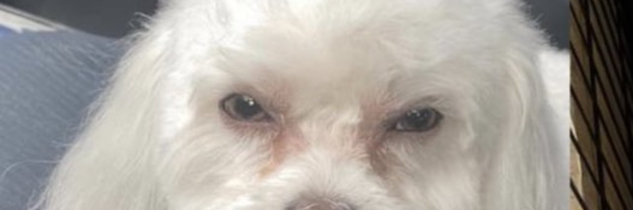 할 수있다's banner