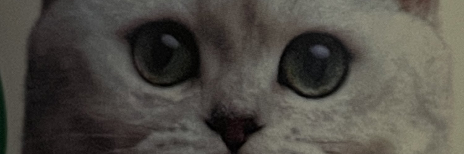 fakeChrisZander's profile banner image