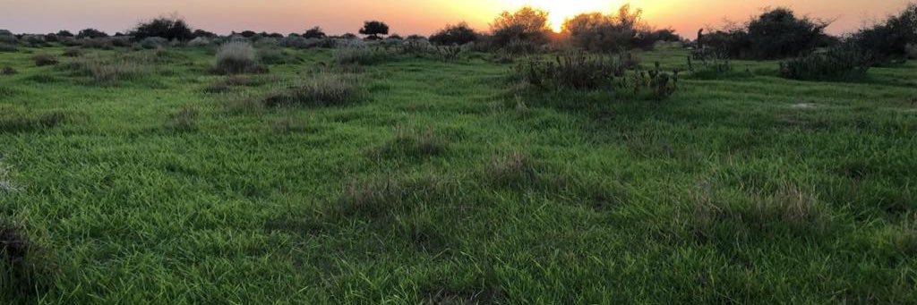 خالد 🌺 banner