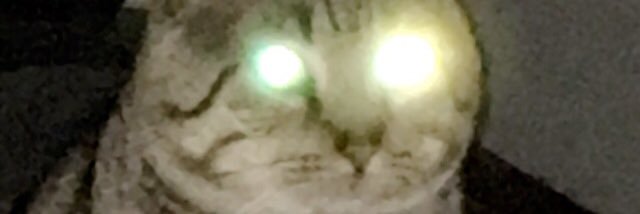 loganscottt's profile banner image