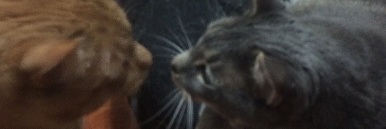 Bashinteroth's profile banner image