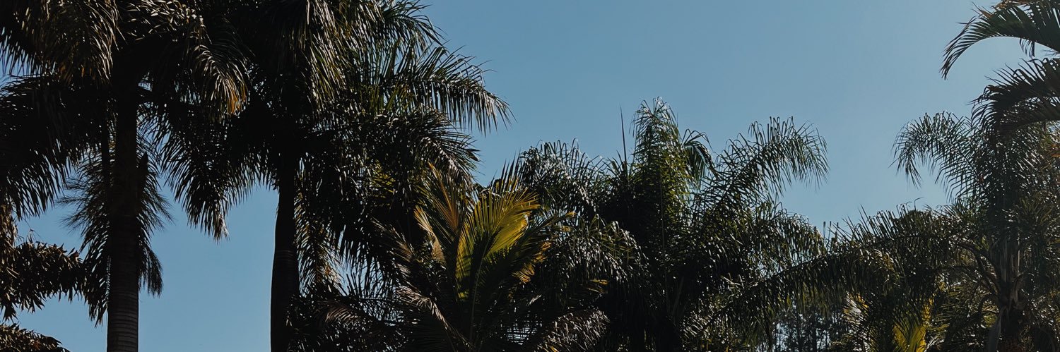 cacacampox's profile banner image