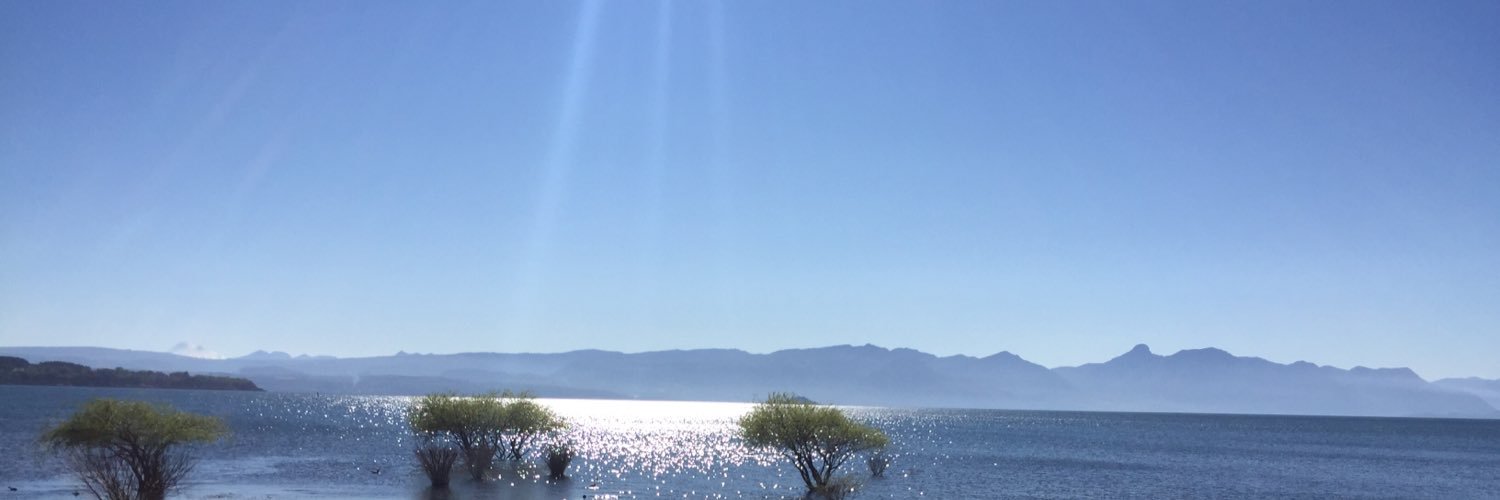 Verofonsecas's profile banner image