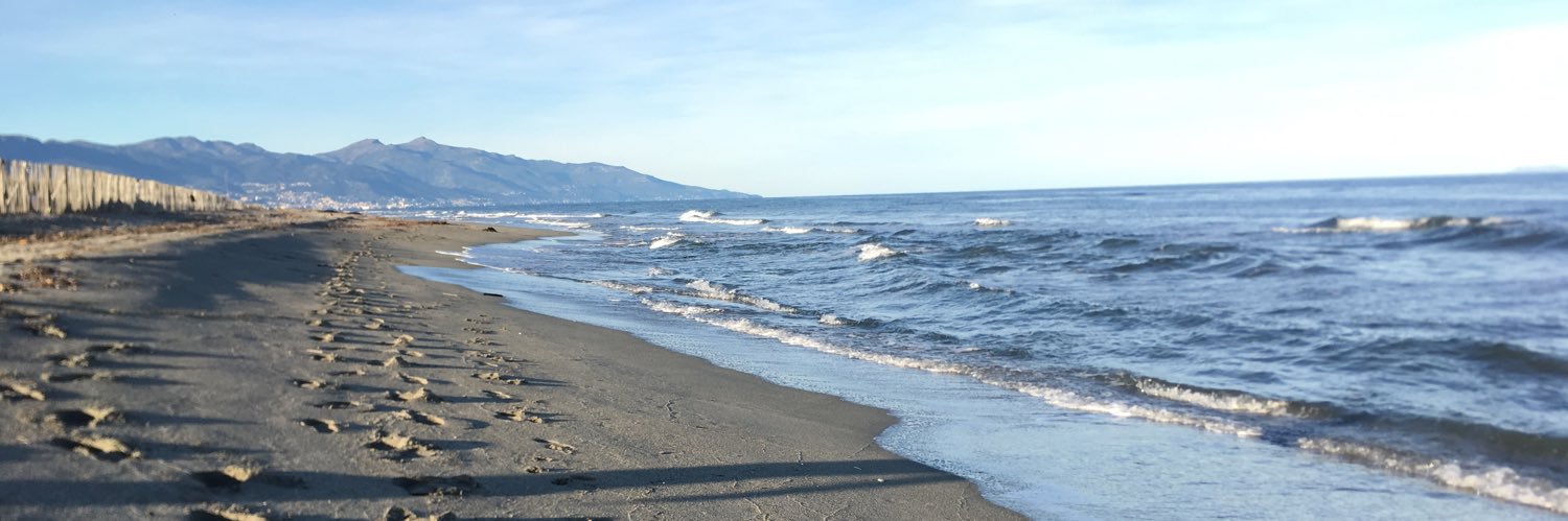 Francoise Ravera banner