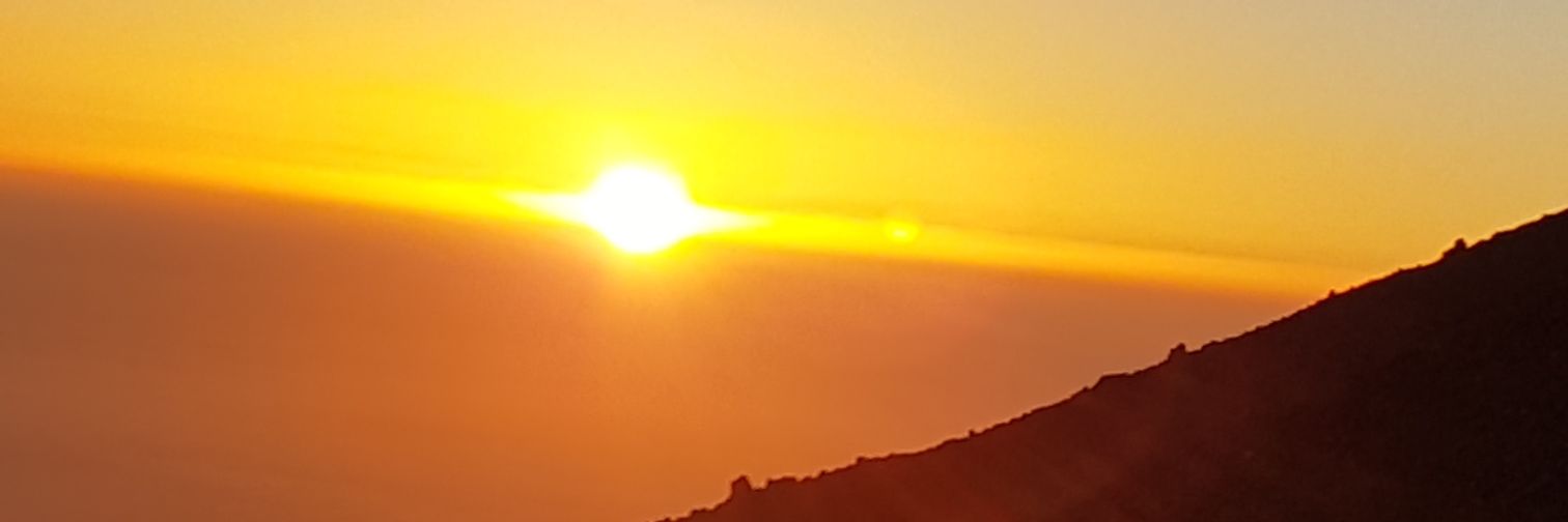 daniimoose's profile banner image