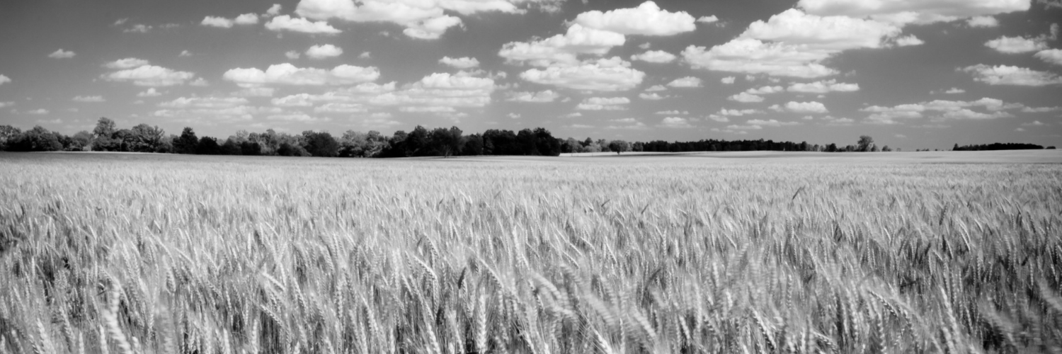 Andrew Hourani banner