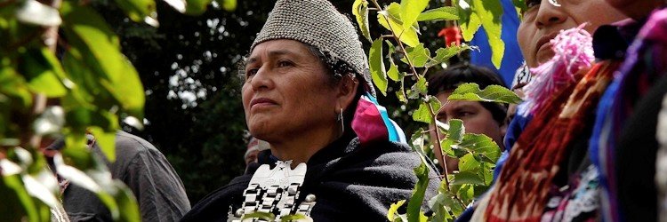 MapucheCL's profile banner image