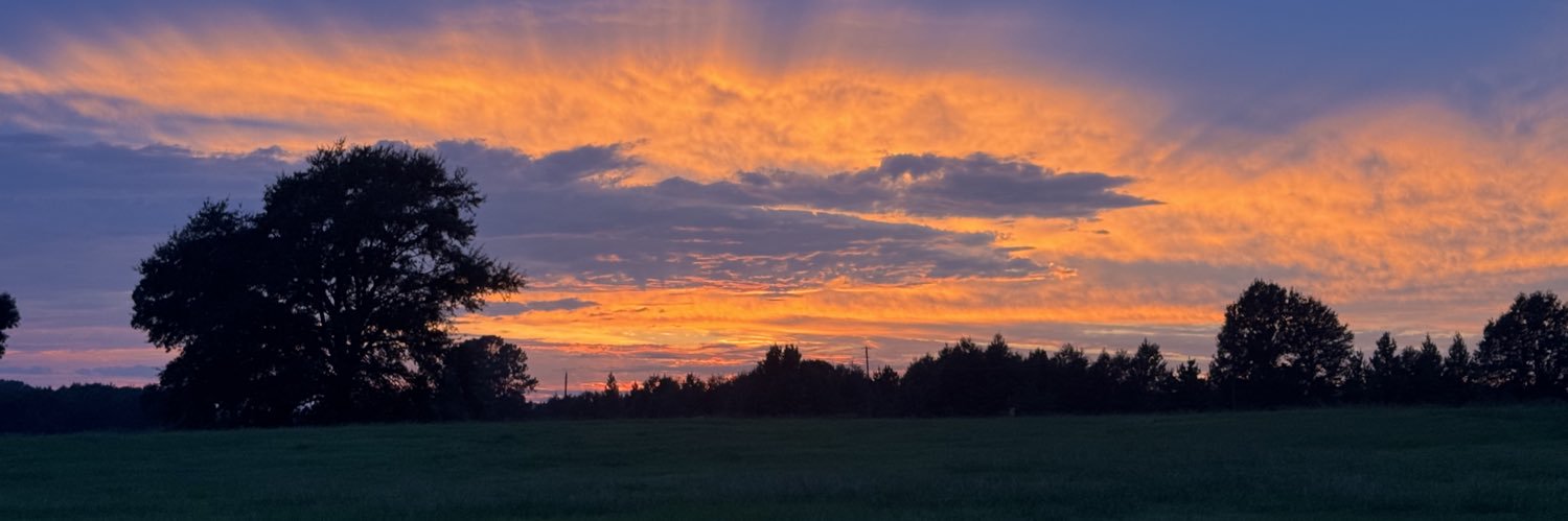 Terry McFadden banner