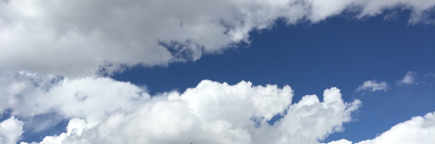 blue_pal's profile banner image