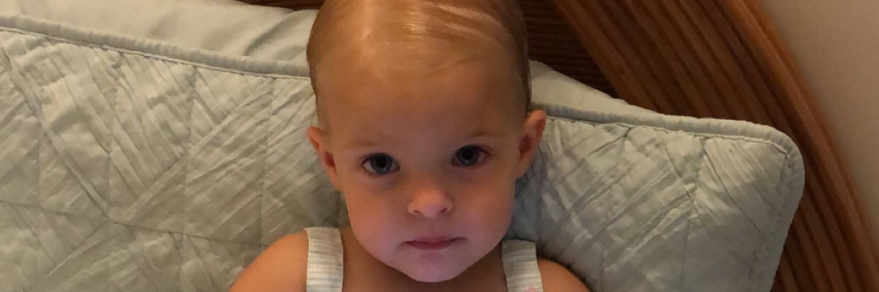 Daniel Sartori banner