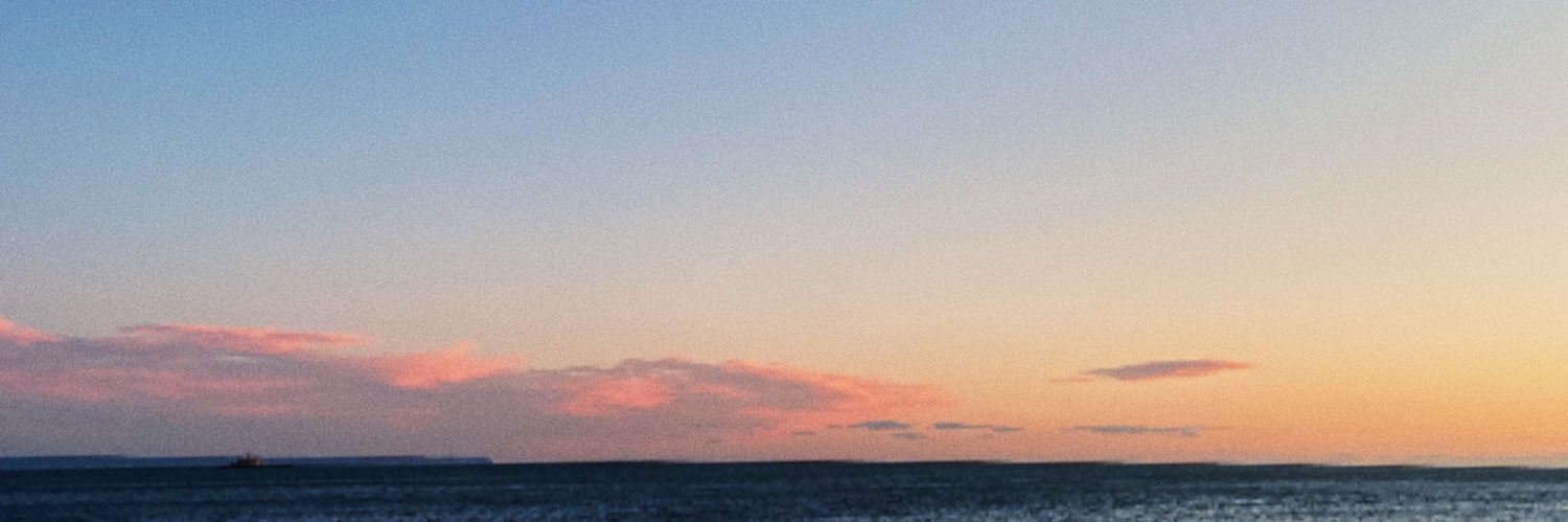 inesfcs's profile banner image