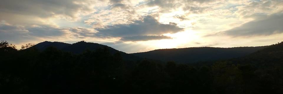 BrandonWensing's profile banner image