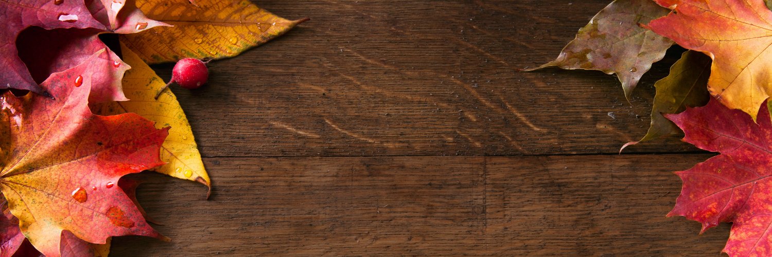 Mochifoxy's profile banner image