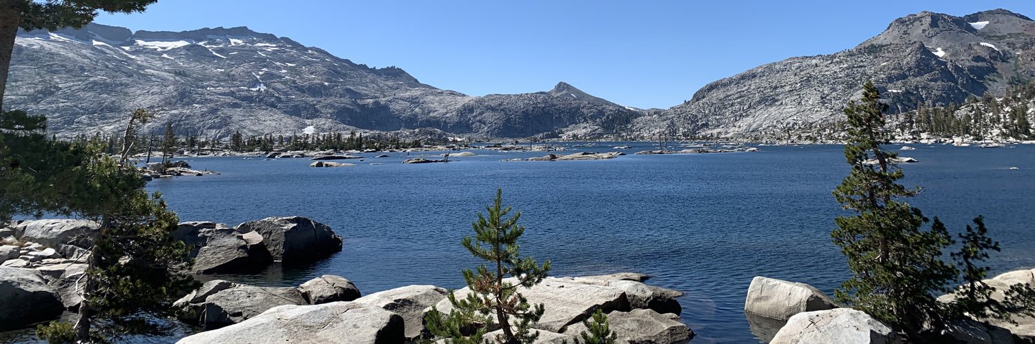 Rigel Robinson banner