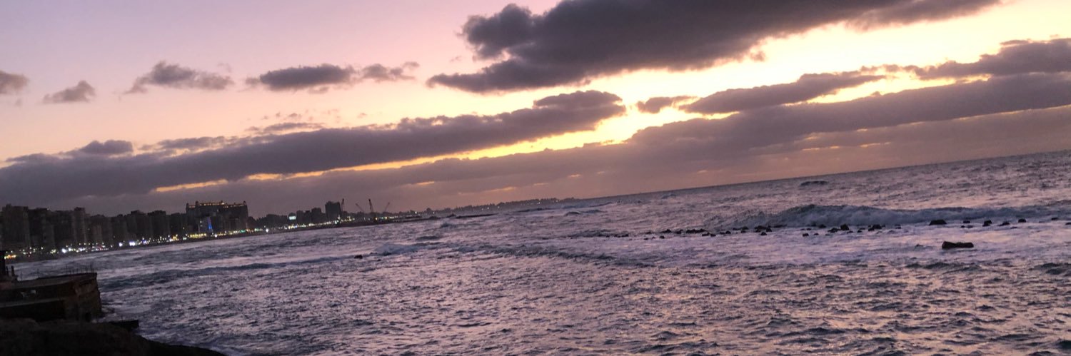 daviinshy's profile banner image
