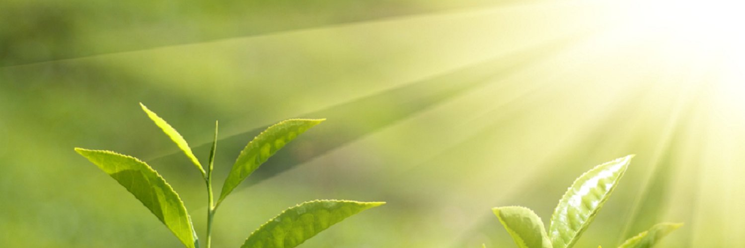 Sunny_Day_20's profile banner image