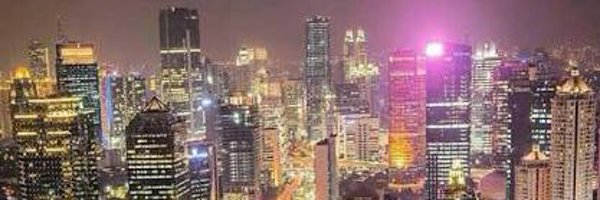 DubesDenmark Profile Banner