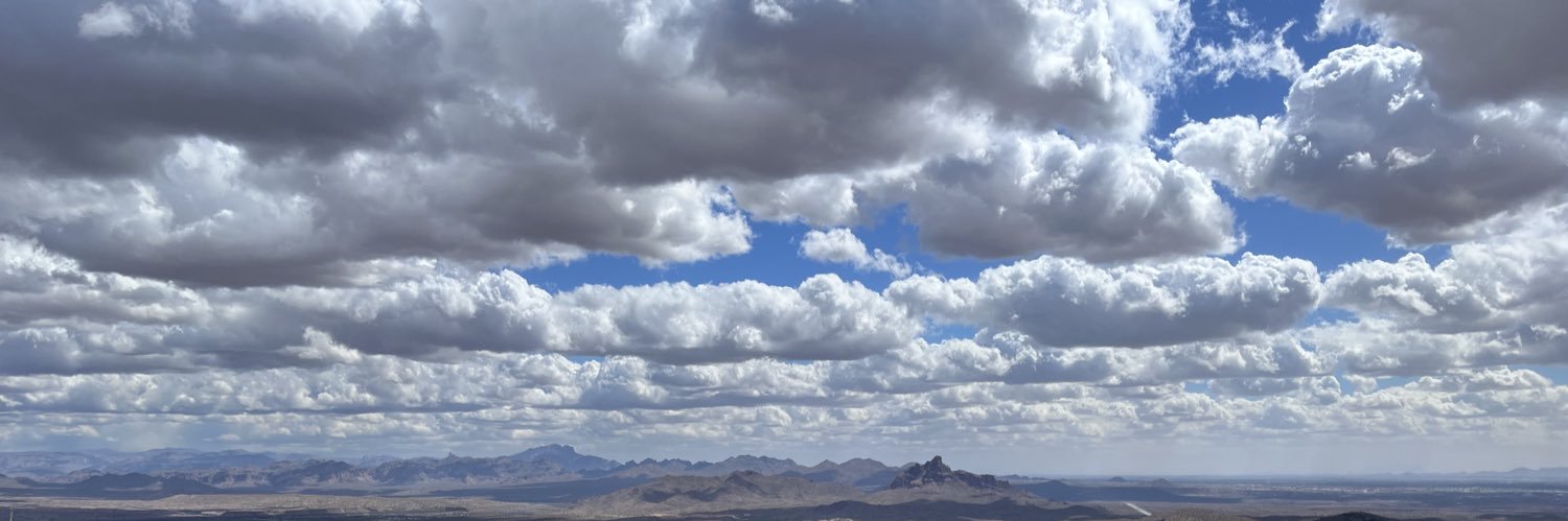 Sylvester Bartholomew banner