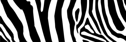 hmmm banner