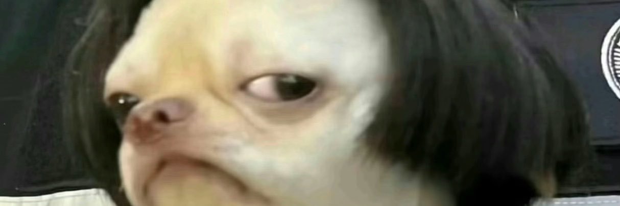 LilPaigeywave's profile banner image