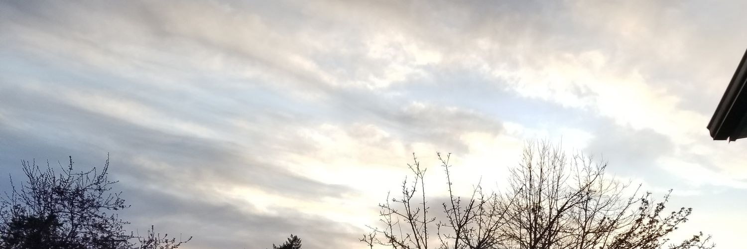 sherimyrah's profile banner image