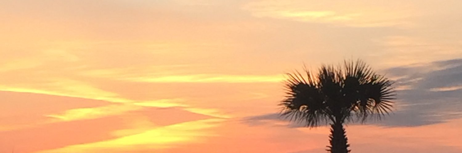 AemonAaliyah's profile banner image