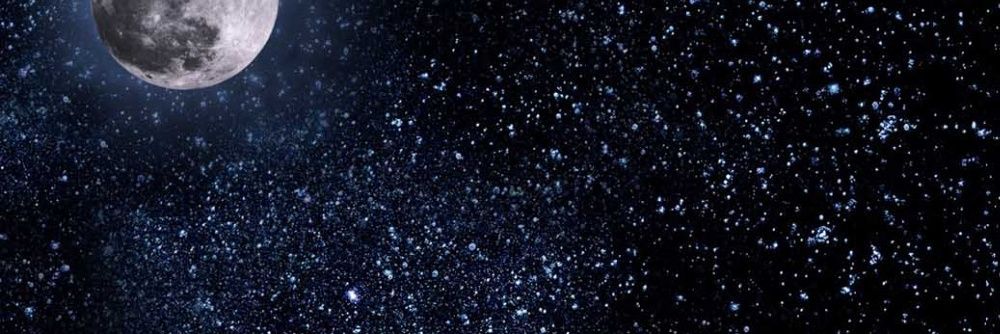 tammiutm's profile banner image