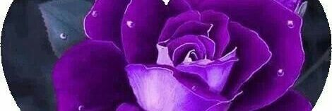 montynoni_e's profile banner image