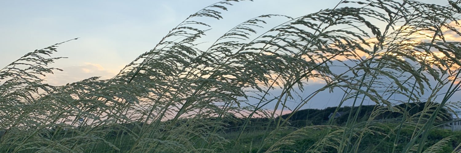 KellyProehl's profile banner image