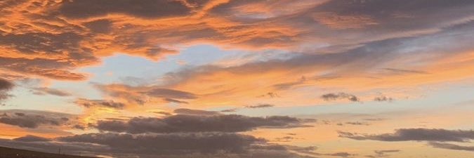 agwacatte's profile banner image