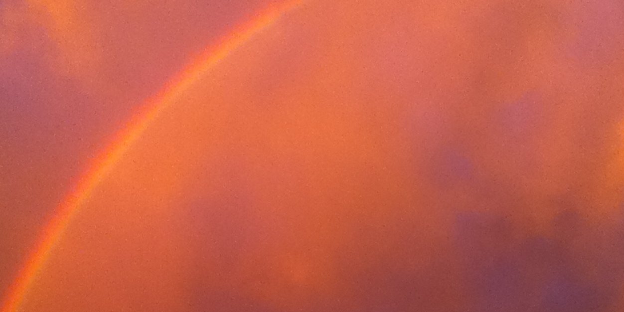 evegerson's profile banner image