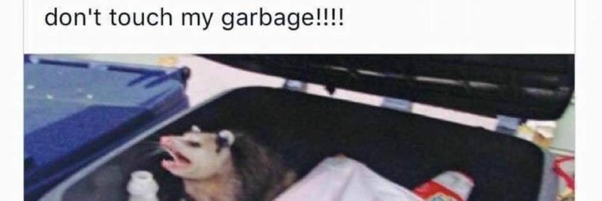 Alex Savard 🔸 banner