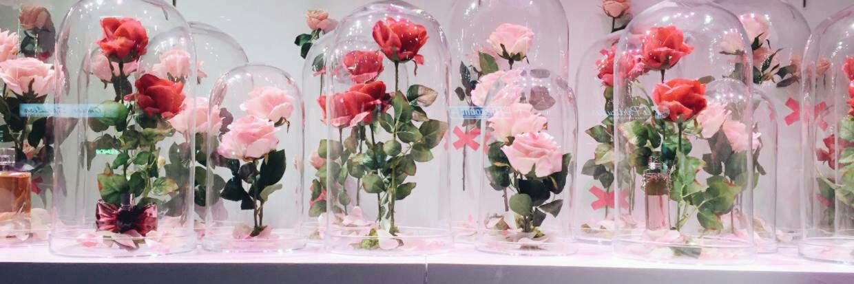 Yelimchoo's profile banner image
