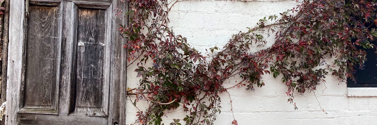 julestagram's profile banner image