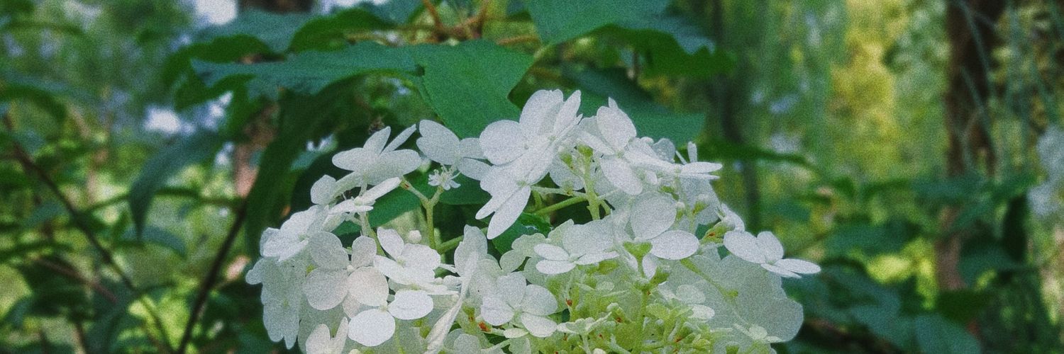 零柒 banner