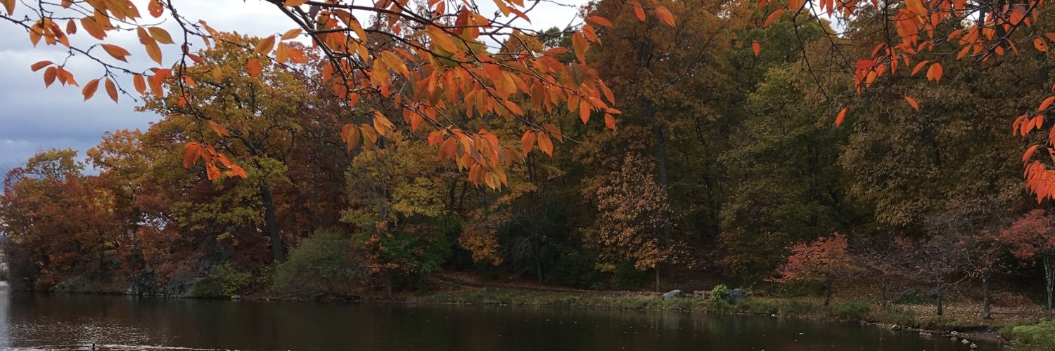 Emily Neiss-Moe banner