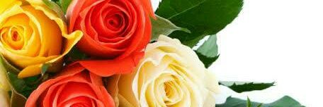 Subrahmanya76's profile banner image