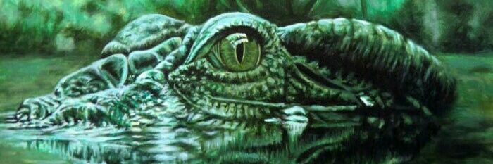 Tick Tock Crocodile banner