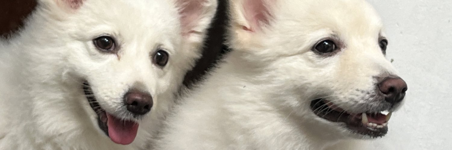 argelosales's profile banner image