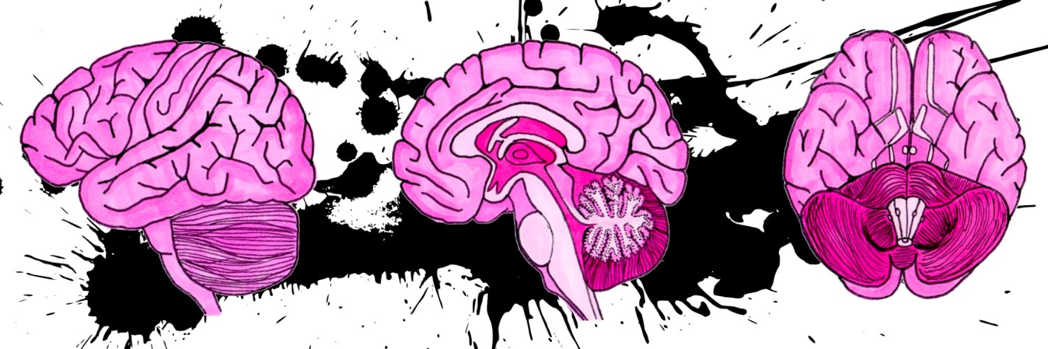 Briana Renda🧠 banner