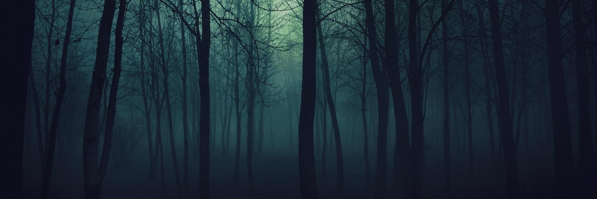 SeldomSeenDude's profile banner image