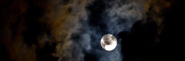 Monse2293's profile banner image