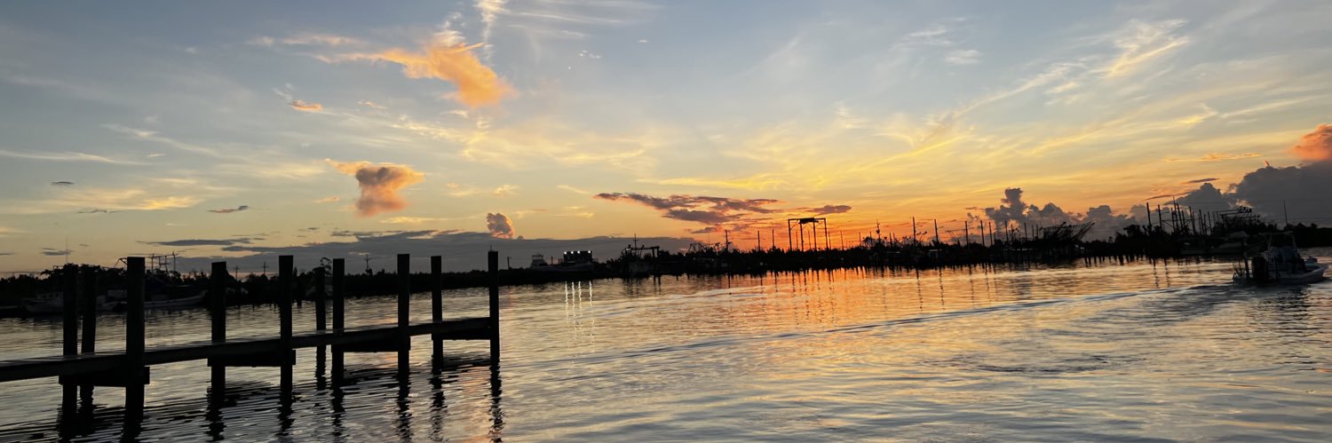 Deb Campbell PhD banner