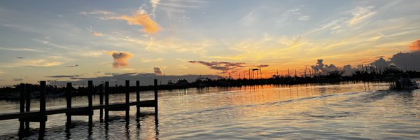 debcampbell_phd Profile Banner