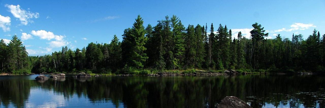 kalkacola's profile banner image