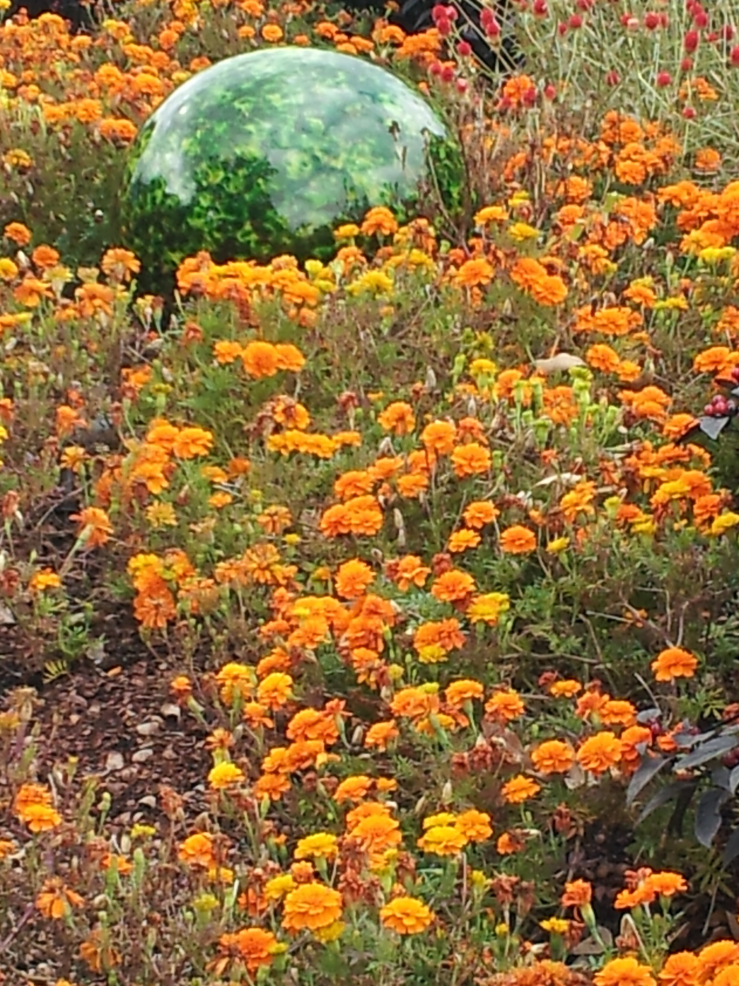 MarieWalker-Peterson banner