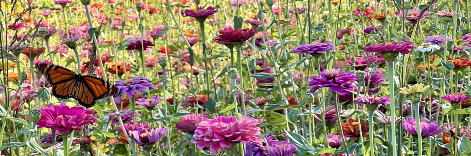 Stephanie Hartley banner