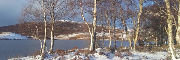 DWQRScotland Profile Banner